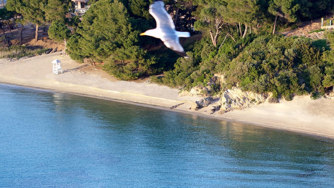 Elivi Skiathos Koukounaries Extérieur photo